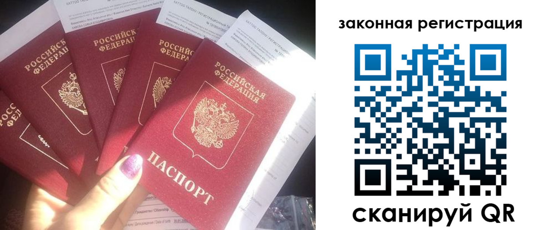 временная регистрация гарантия в Карабаново